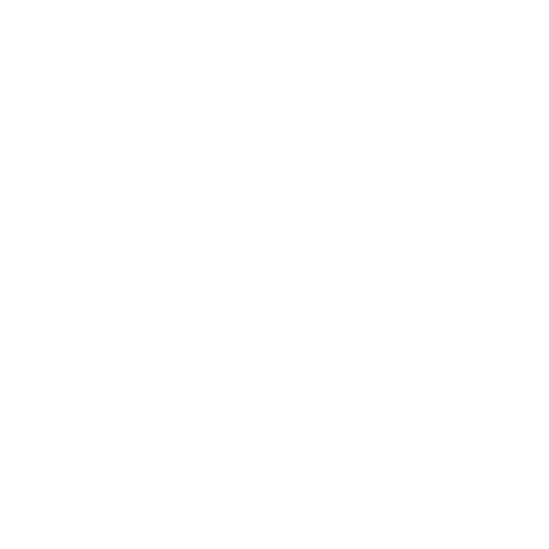 feature-item-1