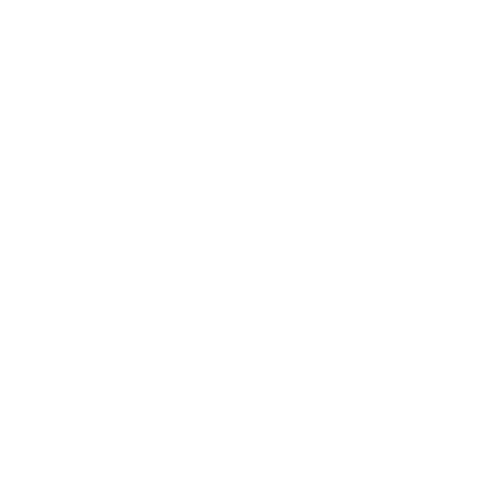 feature-item-4